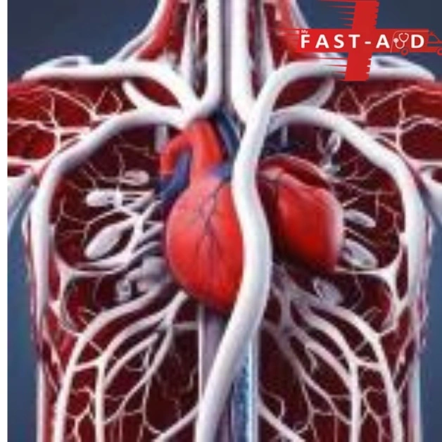 5 Alarming Signs That Your Cardio Vascular System Needs Immediate Attention